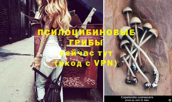 амф Переславль-Залесский