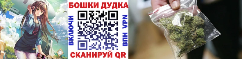 дарнет шоп  Ленинградская  Бошки марихуана ГИДРОПОН 